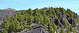La palma