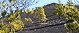 La palma