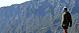 La palma