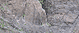 La palma