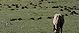 Campo Felice rifugio sebastiani alantino